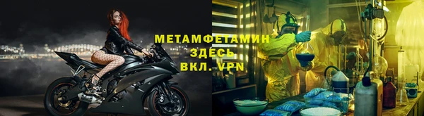 ГАЛЛЮЦИНОГЕННЫЕ ГРИБЫ Аркадак