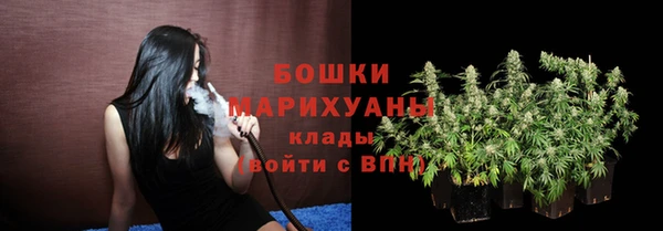 не бодяженный Арсеньев