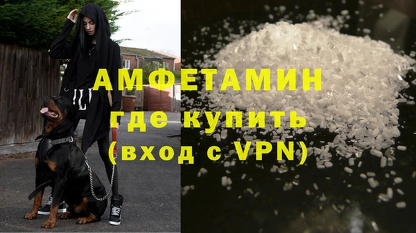 ГАЛЛЮЦИНОГЕННЫЕ ГРИБЫ Аркадак