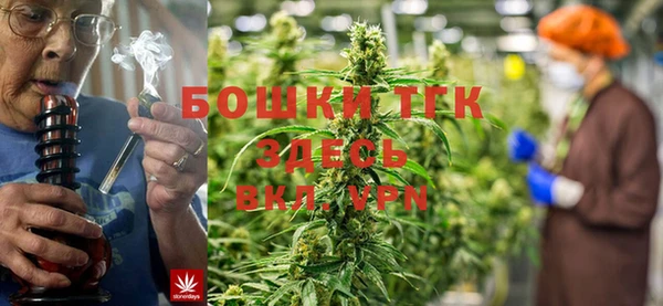 прущие крисы Армянск