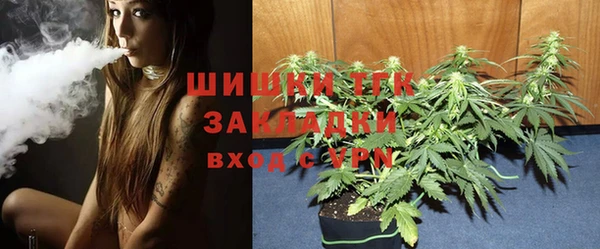 не бодяженный Арсеньев