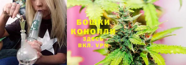 ГАЛЛЮЦИНОГЕННЫЕ ГРИБЫ Аркадак