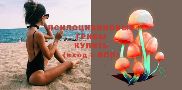 прущие крисы Армянск