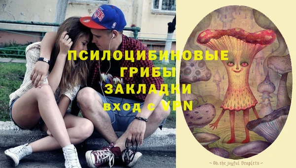 сатива Семилуки