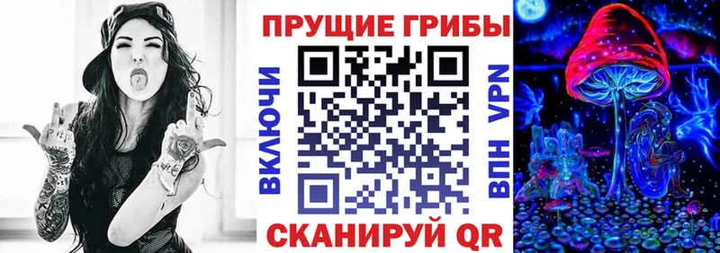 KRAKEN как зайти  где продают   Пустошка  Псилоцибиновые грибы Cubensis 